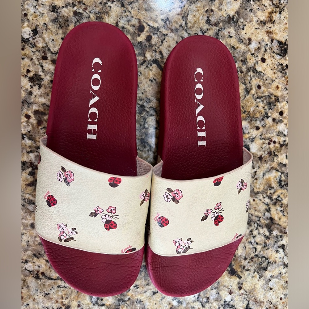 Coach slides